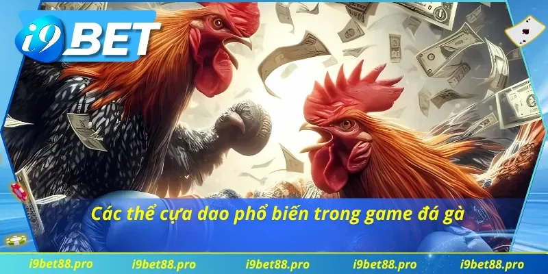 Cựa dao là yếu tố quan trọng trong trò chơi đá gà này